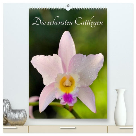 Die schönsten Cattleyen (hochwertiger Premium Wandkalender 2027 DIN A2 hoch), Kunstdruck in Hochglanz