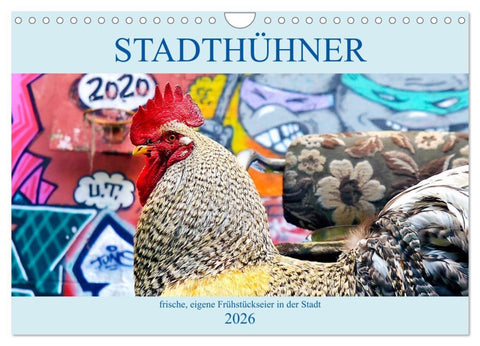 Stadthühner (Wandkalender 2026 DIN A4 quer), CALVENDO Monatskalender