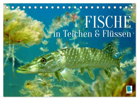 Fische in Teichen und Flüssen (Tischkalender 2027 DIN A5 quer), CALVENDO Monatskalender