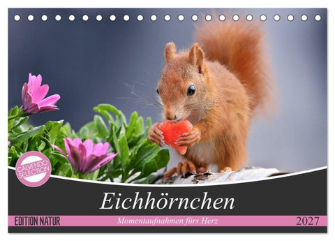 Eichhörnchen Momentaufnahmen fürs Herz (Tischkalender 2027 DIN A5 quer), CALVENDO Monatskalender