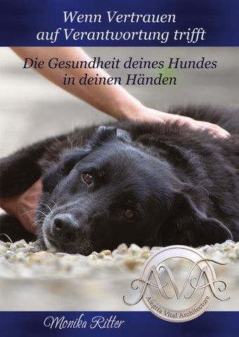 Wenn Verantwortung auf Vertrauen trifft
