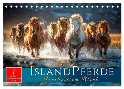Islandpferde - Freiheit im Blick (Tischkalender 2026 DIN A5 quer), CALVENDO Monatskalender