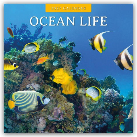 Ocean Life – Leben im Ozean 2027 – 16-Monatskalender