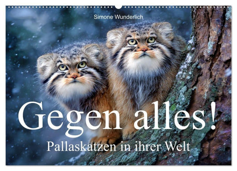 Gegen alles! - Pallaskatzen in ihrer Welt (Wandkalender 2027 DIN A2 quer), CALVENDO Monatskalender
