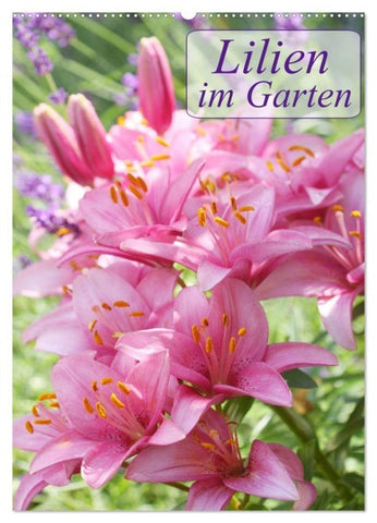 Lilien im Garten (Wandkalender 2027 DIN A2 hoch), CALVENDO Monatskalender
