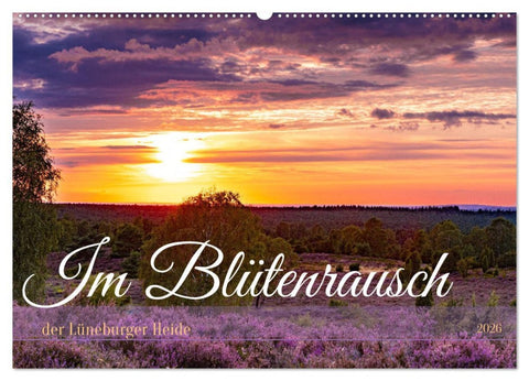 Im Blütenrausch der Lüneburger Heide (Wandkalender 2026 DIN A2 quer), CALVENDO Monatskalender