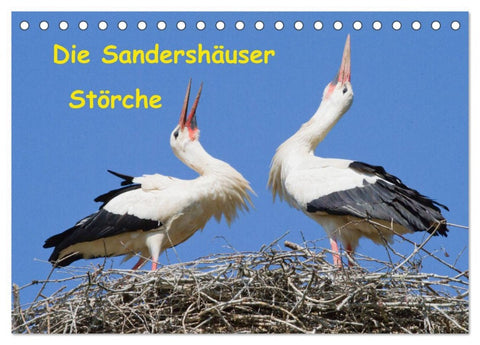Die Sandershäuser Störche (Tischkalender 2026 DIN A5 quer), CALVENDO Monatskalender