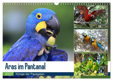 Aras im Pantanal (Wandkalender 2027 DIN A3 quer), CALVENDO Monatskalender