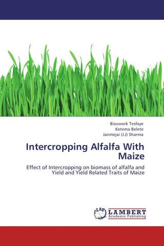 Intercropping Alfalfa With Maize