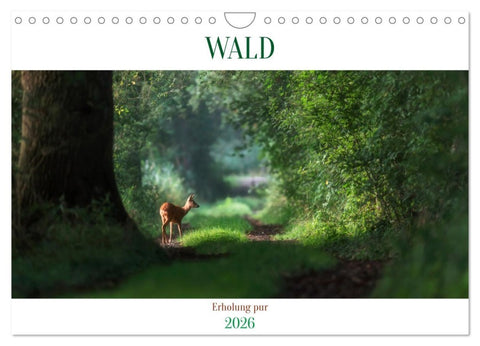 WALD Erholung pur (Wandkalender 2026 DIN A4 quer), CALVENDO Monatskalender