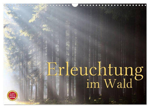 Erleuchtung im Wald (Wandkalender 2026 DIN A3 quer), CALVENDO Monatskalender