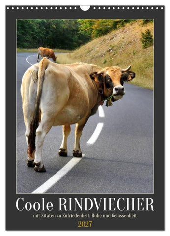 Coole Rindviecher (Wandkalender 2027 DIN A3 hoch), CALVENDO Monatskalender