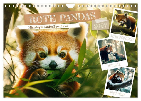 Rote Pandas - Himalayas sanfte Bewohner (Wandkalender 2027 DIN A4 quer), CALVENDO Monatskalender