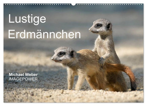 Lustige Erdmännchen (Wandkalender 2026 DIN A2 quer), CALVENDO Monatskalender
