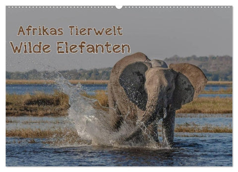 Afrikas Tierwelt - Wilde Elefanten (Wandkalender 2027 DIN A2 quer), CALVENDO Monatskalender