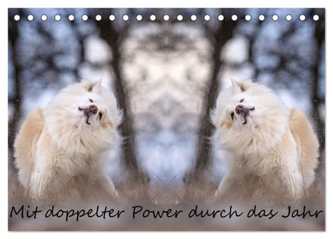 Mit doppelter Power durch das Jahr (Tischkalender 2027 DIN A5 quer), CALVENDO Monatskalender