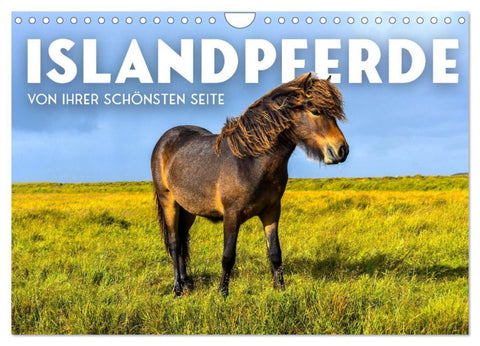 Islandpferde - Von ihrer schönsten Seite (Wandkalender 2026 DIN A4 quer), CALVENDO Monatskalender