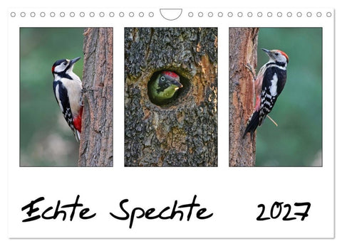 Echte Spechte (Wandkalender 2027 DIN A4 quer), CALVENDO Monatskalender