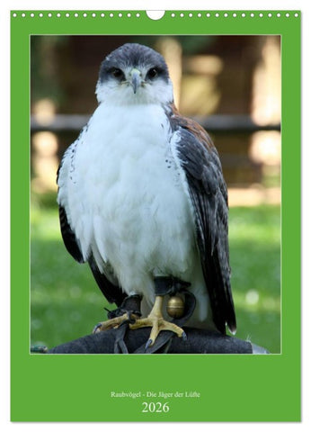 Raubvögel - Die Jäger der Lüfte (Wandkalender 2026 DIN A3 hoch), CALVENDO Monatskalender