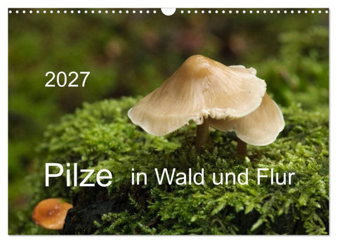 Pilze in Wald und Flur (Wandkalender 2027 DIN A3 quer), CALVENDO Monatskalender