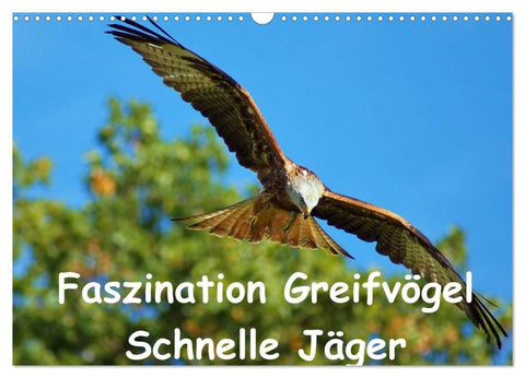 Faszination Greifvögel Schnelle Jäger (Wandkalender 2027 DIN A3 quer), CALVENDO Monatskalender