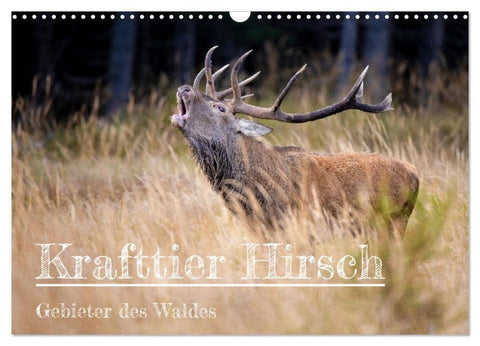 Krafttier Hirsch (Wandkalender 2027 DIN A3 quer), CALVENDO Monatskalender