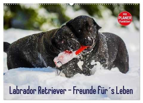 Labrador Retriever - Freunde für´s Leben (Wandkalender 2027 DIN A2 quer), CALVENDO Monatskalender