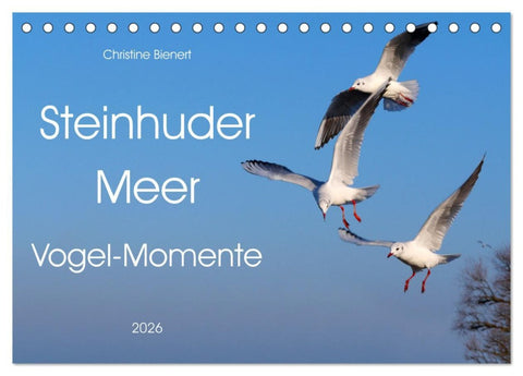 Steinhuder Meer, Vogel-Momente (Tischkalender 2026 DIN A5 quer), CALVENDO Monatskalender