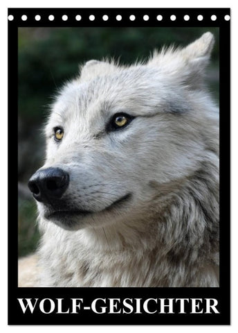 Wolf-Gesichter (Tischkalender 2027 DIN A5 hoch), CALVENDO Monatskalender