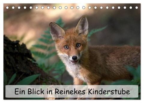 Ein Blick in Reinekes Kinderstube (Tischkalender 2027 DIN A5 quer), CALVENDO Monatskalender