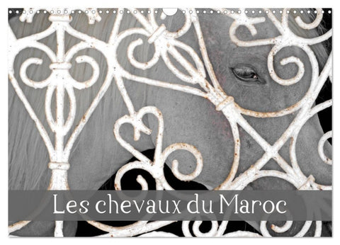 Les chevaux du Maroc (Calendrier mural 2027 DIN A3 vertical), CALVENDO calendrier mensuel
