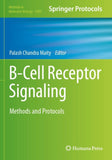 B-Cell Receptor Signaling