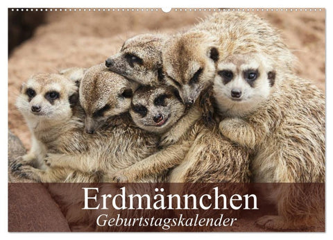 Erdmännchen (Wandkalender 2026 DIN A2 quer), CALVENDO Monatskalender