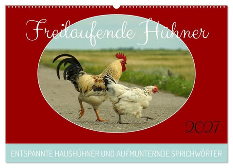 Freilaufende Hühner (Wandkalender 2027 DIN A2 quer), CALVENDO Monatskalender