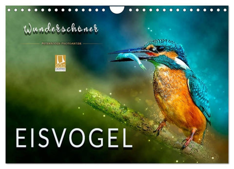 Wunderschöner Eisvogel (Wandkalender 2027 DIN A4 quer), CALVENDO Monatskalender
