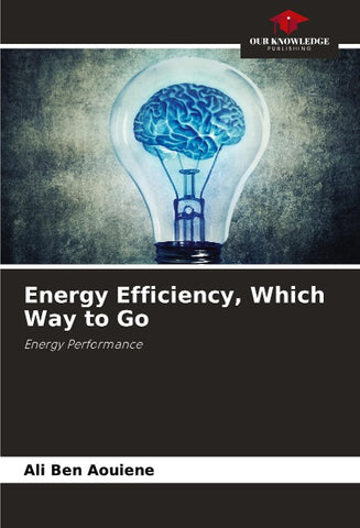 Energy Efficiency, Which Way to Go