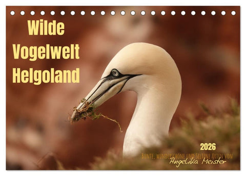 Wilde Vogelwelt Helgoland (Tischkalender 2026 DIN A5 quer), CALVENDO Monatskalender