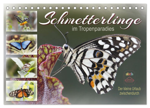 Schmetterlinge im Tropenparadies (Tischkalender 2026 DIN A5 quer), CALVENDO Monatskalender