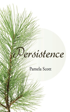Persistence