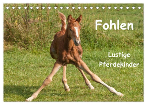 Fohlen - Lustige Pferdekinder (Tischkalender 2026 DIN A5 quer), CALVENDO Monatskalender