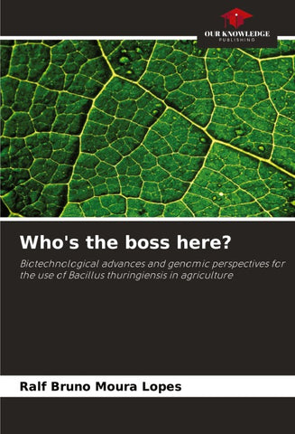 Who's the boss here?