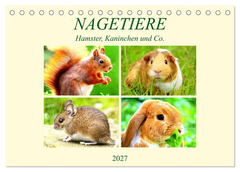 Nagetiere. Hamster, Kaninchen und Co. (Tischkalender 2027 DIN A5 quer), CALVENDO Monatskalender