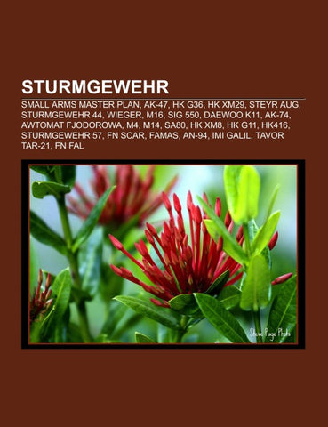 Sturmgewehr