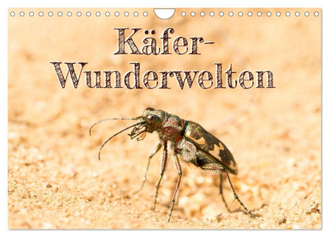Käfer-Wunderwelten (Wandkalender 2026 DIN A4 quer), CALVENDO Monatskalender