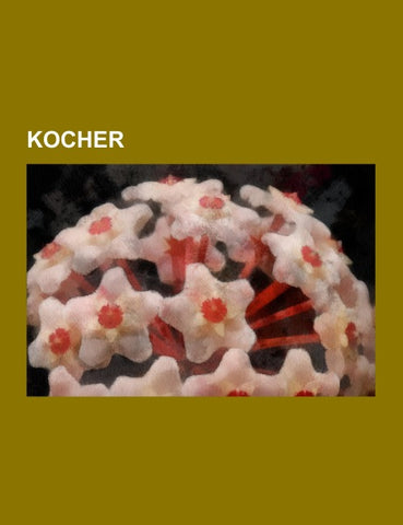Kocher