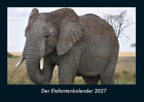 Der Elefantenkalender 2027 Fotokalender DIN A4