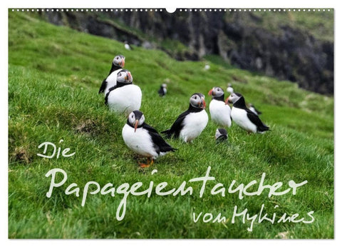 Die Papageientaucher von Mykines (Wandkalender 2027 DIN A2 quer), CALVENDO Monatskalender