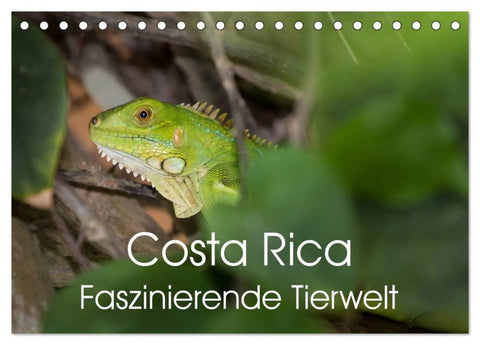Costa Rica. Faszinierende Tierwelt (Tischkalender 2027 DIN A5 quer), CALVENDO Monatskalender