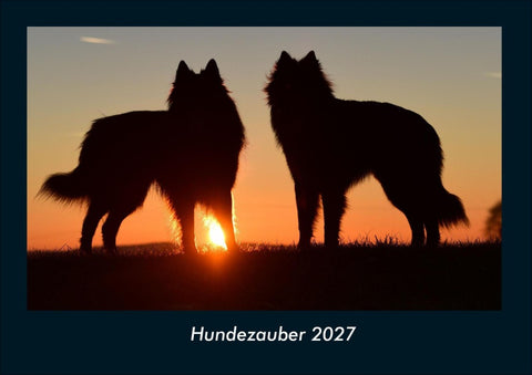 Hundezauber 2027 Fotokalender DIN A4