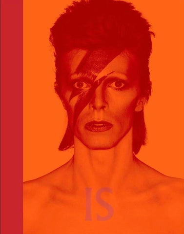David Bowie Is inside